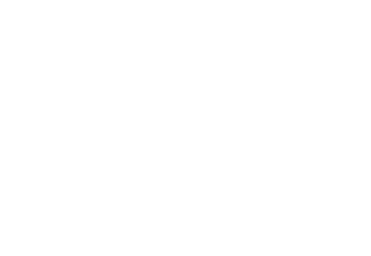logo_1